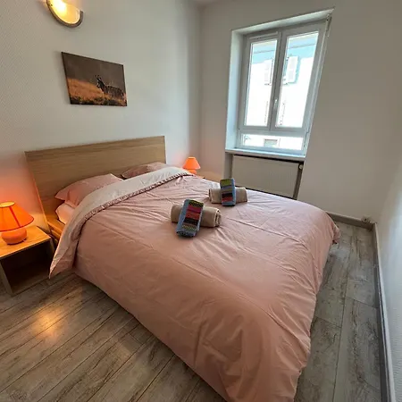 Appartamento T2 Au Calme, Parking, Proche Centre Colmar