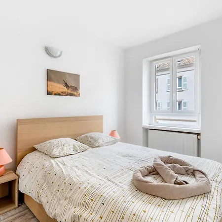 Apartamento F2 Calme & Cosy - Parking Gratuit - Proche Centre