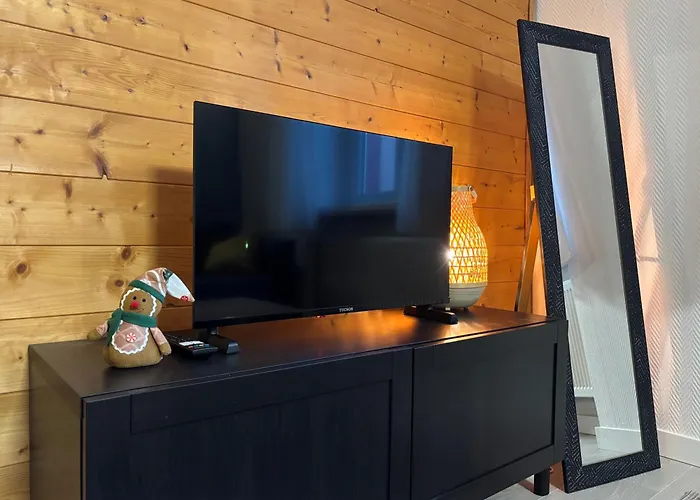 Appartamento Colmar proche centre, marchés de Noël 10min à pied, parking gratuit F2 au calme Colmar