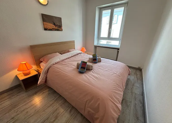 Appartamento T2 Au Calme, Parking, Proche Centre Colmar