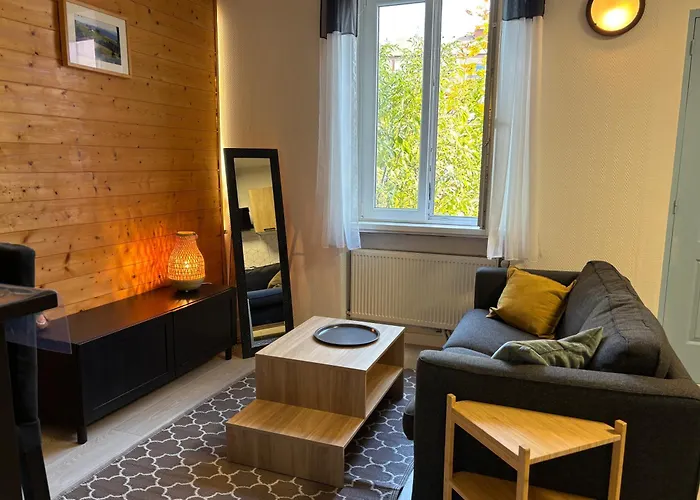 T2 Au Calme, Parking, Proche Centre コルマール