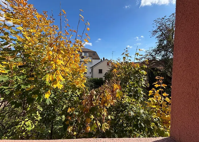 Appartamento Colmar proche centre, marchés de Noël 10min à pied, parking gratuit F2 au calme